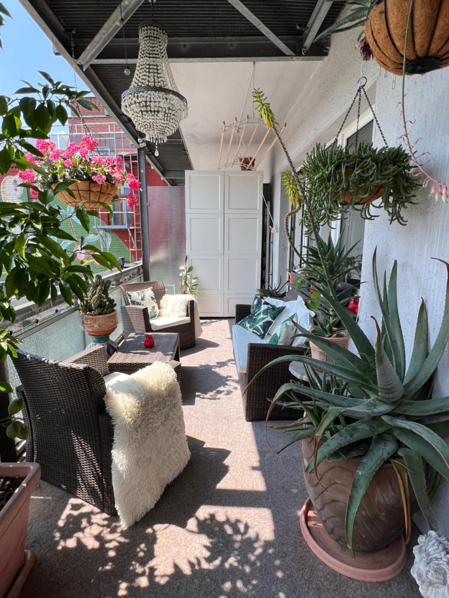 Big, Central And Charming On Schaafenstrasse Appartement *